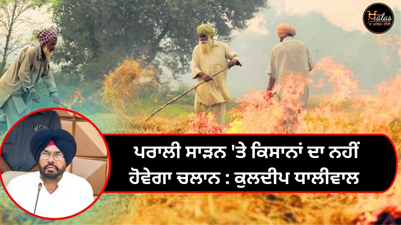 Paddy straw burning in Punjab