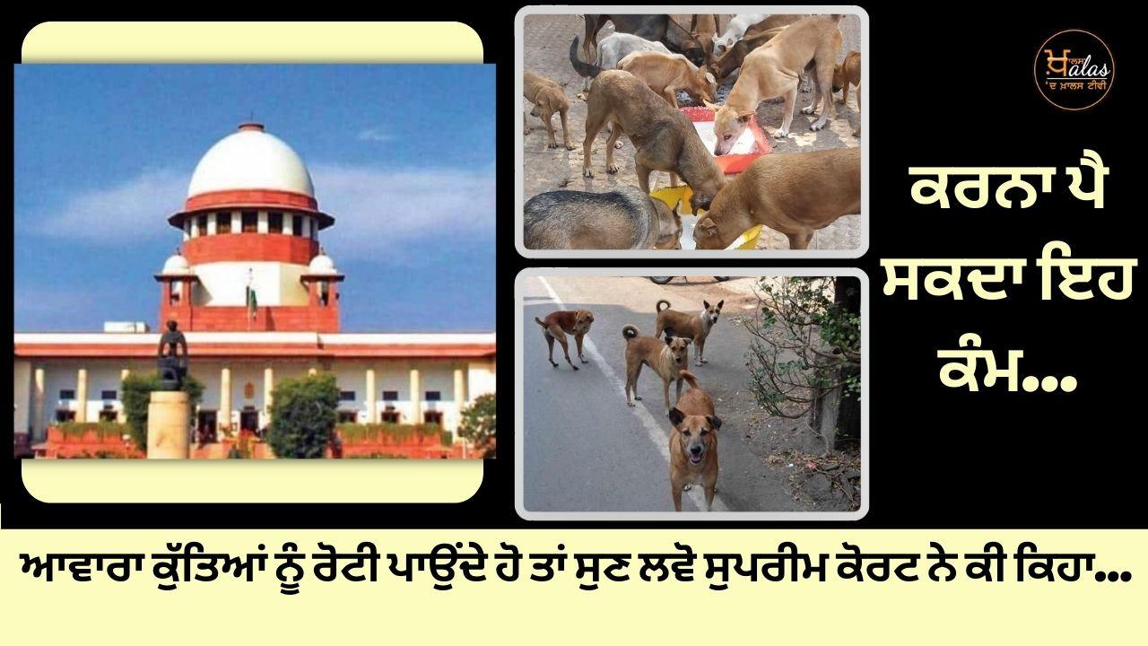 Supreme Court On Stray Dogs