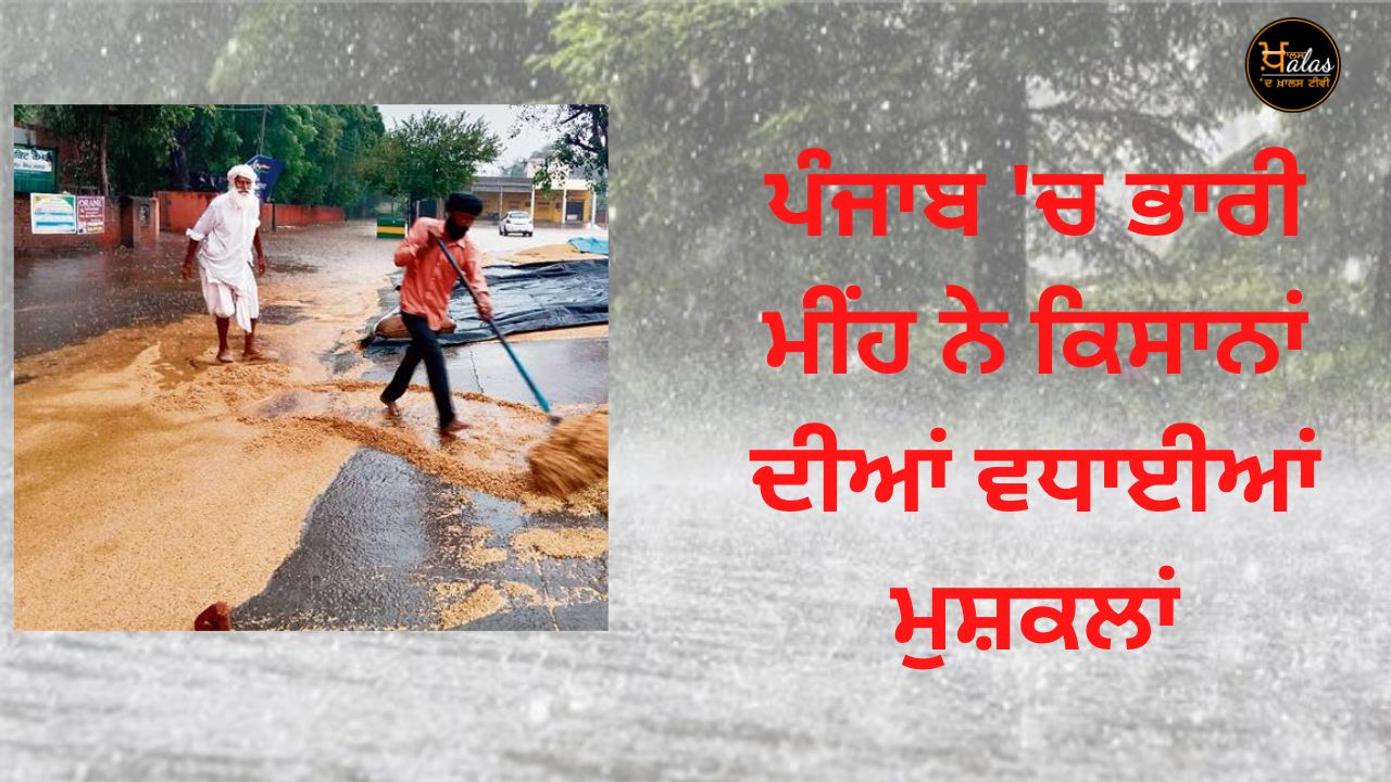 Heavy rains in Punjab caused problems for farmers