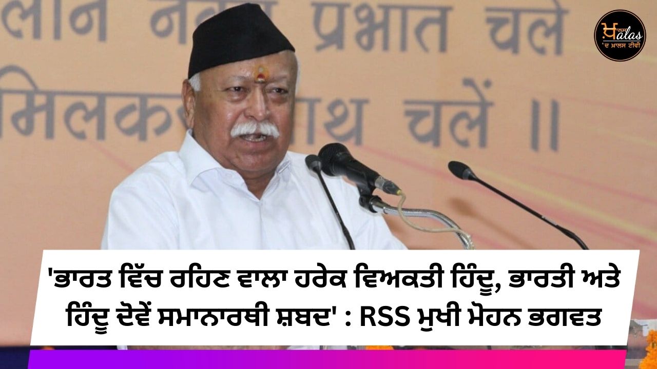 RSS chief Mohan Bhagwat, Hindus, RSS
