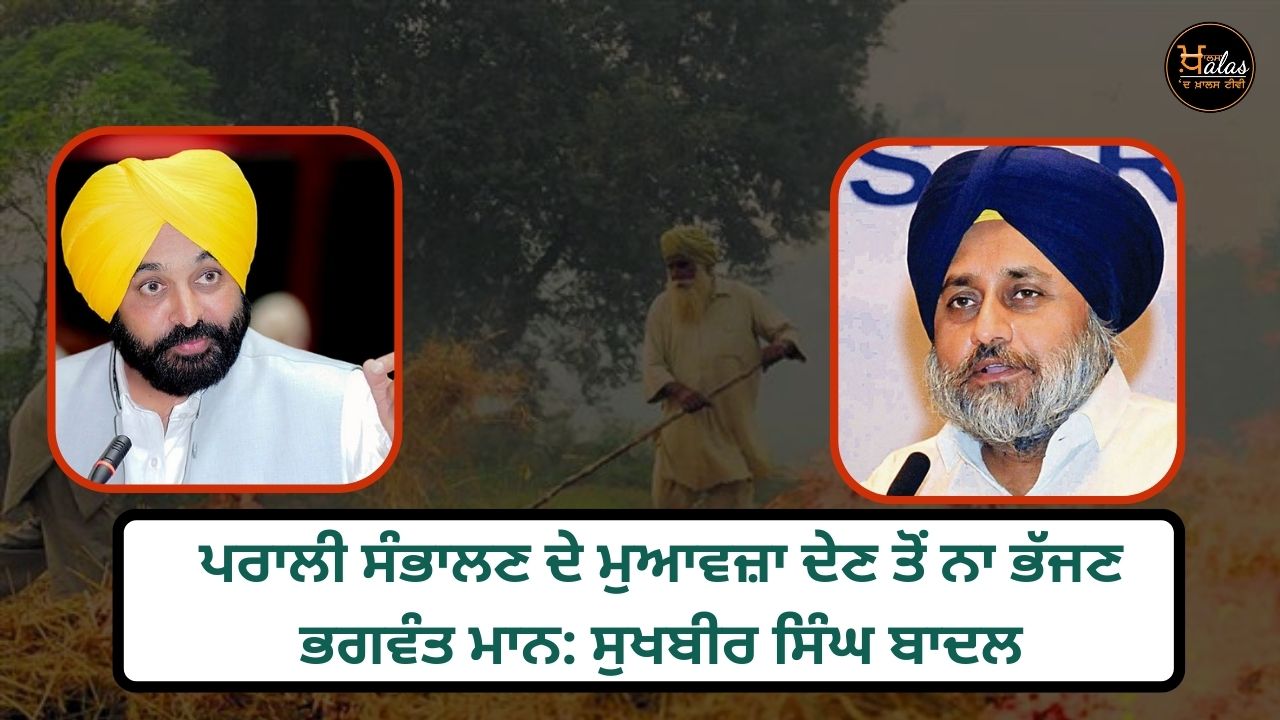 Sukhbir Badal targeted Bhagwant Mann