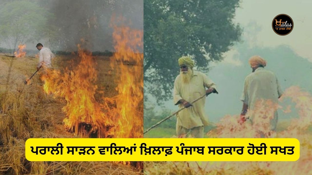 Paddy straw burning in Punjab