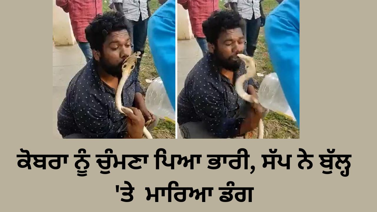 Karnataka man tries to kiss cobra