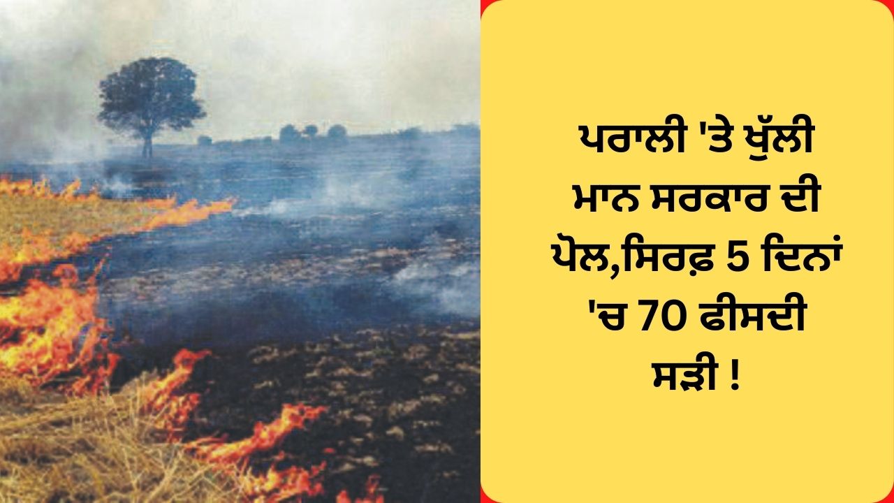 70 Percent stubble burn in punjab after diwali