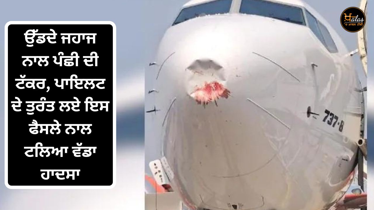 Akasa Air Flight From Ahmedabad to Delhi Hit by Bird Radome Damge Observed