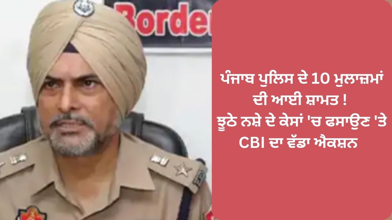 cbi chargsheet against 10 sho's and aig in fake drug case