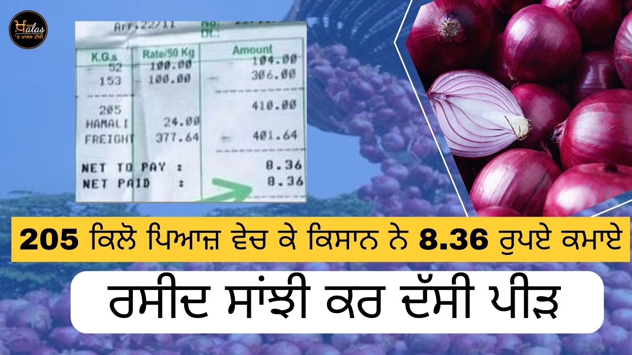 Farmer Travels 415 km to Bengaluru to Receive Rs 8 for 205 kg Onion