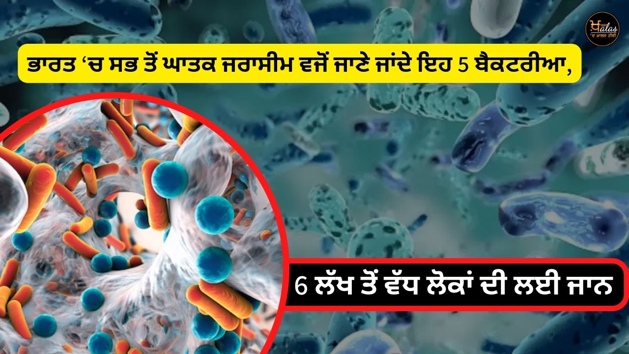 In India, 5 bacteria killed more than 6 lakh people in one year, shocking revelations in the report