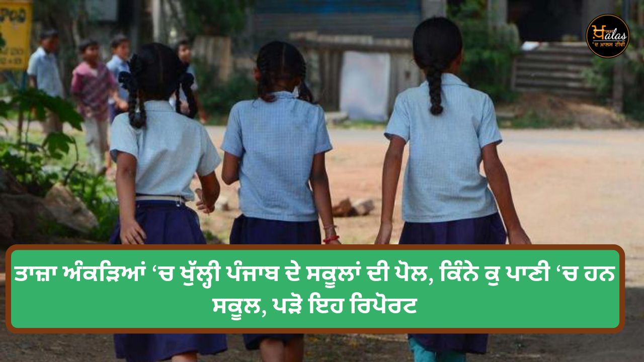 In the latest data, polls of schools in Punjab are open, read this report