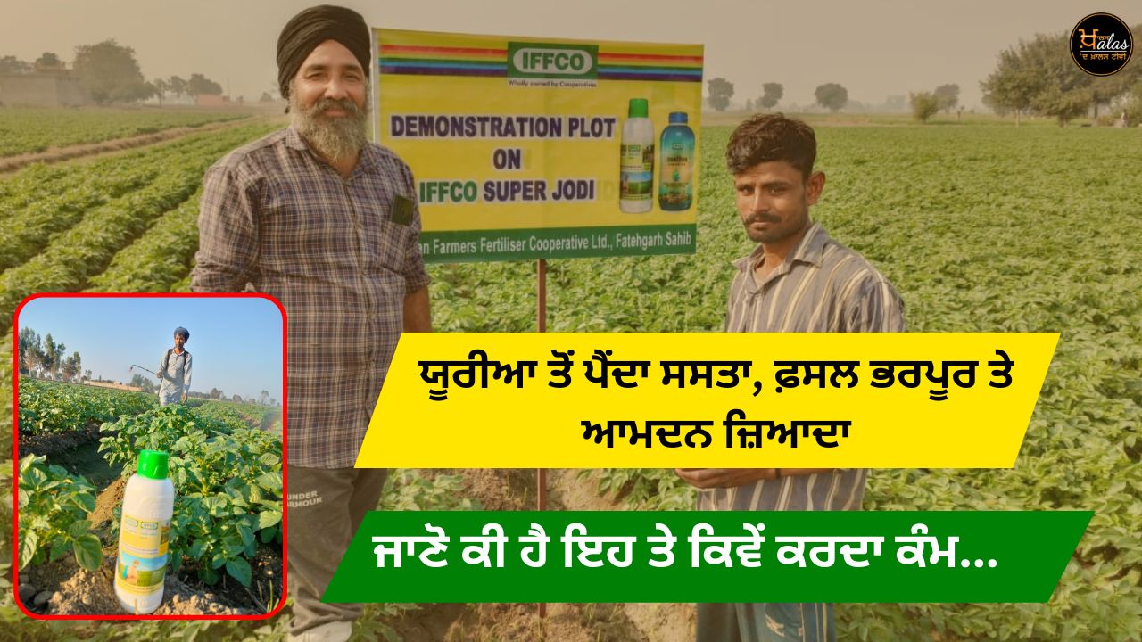 Nano Urea Explainer, agricultural news, iffco news, farmers, crops