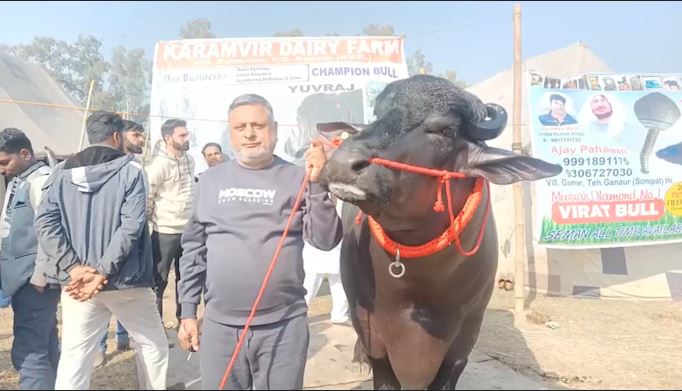 jhota Survir cost 5 crores in Kurukshetra Cattle Fair