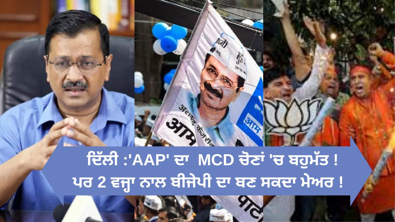 Aap won mcd election in delhi