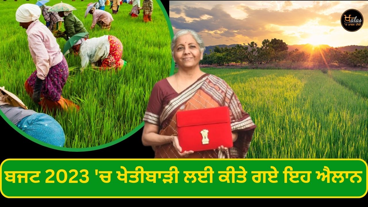 These announcements were made for agriculture in Budget 2023