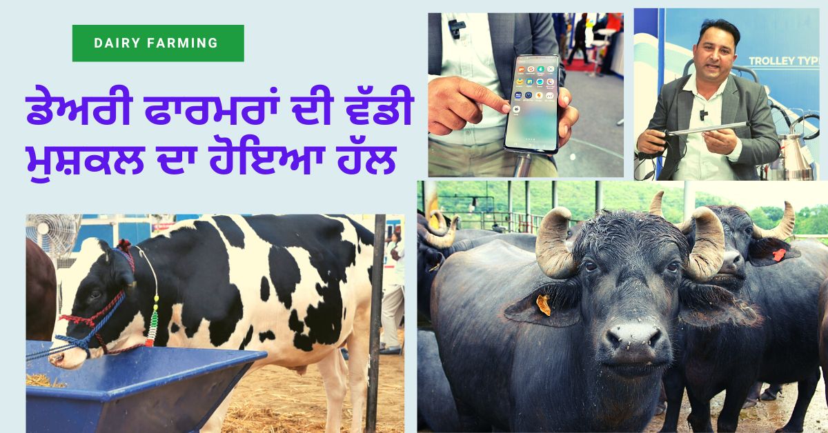 Camera AI Machine, dairy farming, agricultural news
