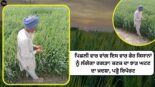 increased heat , wheat yield , Punjab news, agricultural news