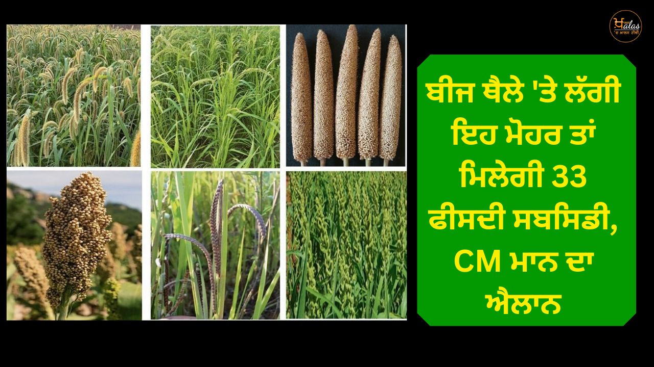 Punjab government, PAU, agricultural news, seeds, Punjab, Seeds