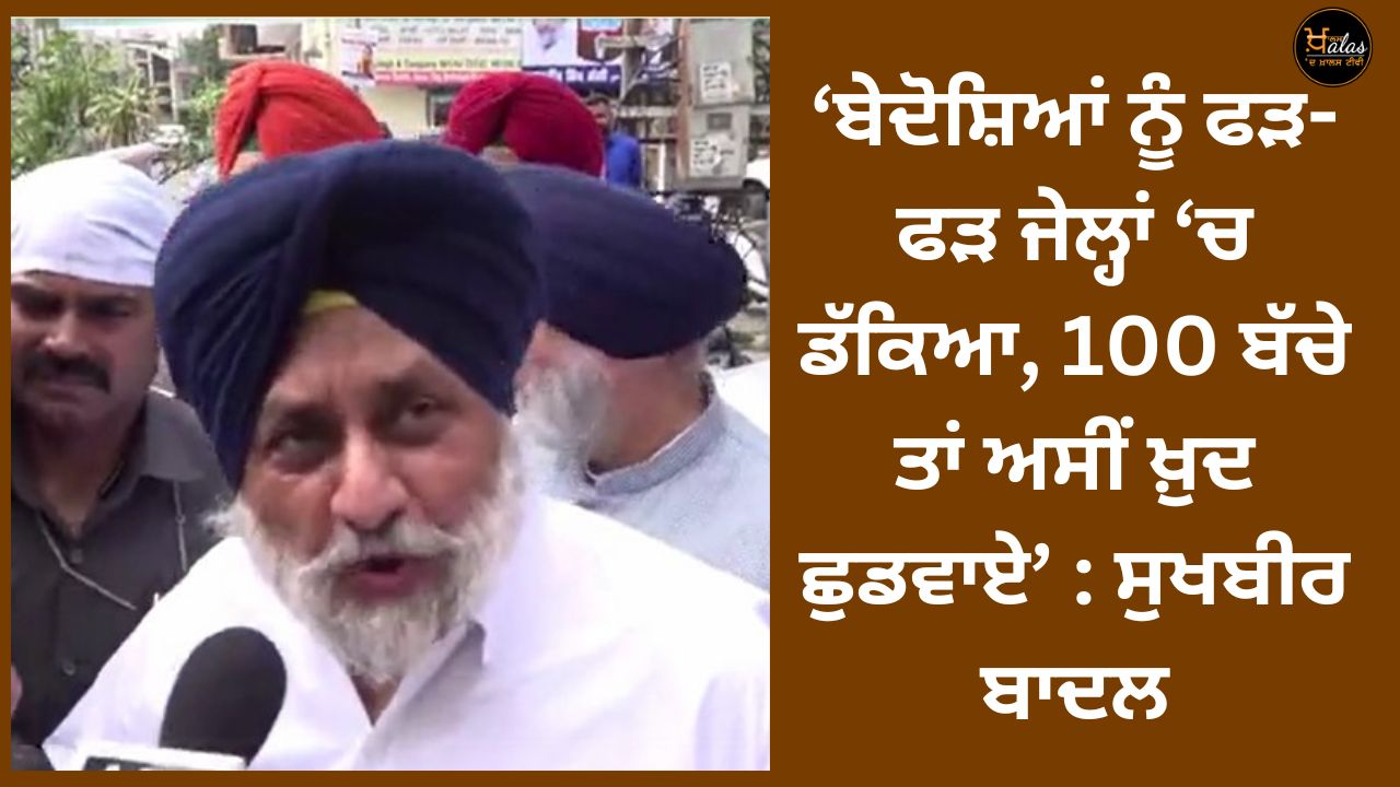 Sukhbir Singh Badal, Akali dal, Punjab news, cm mann