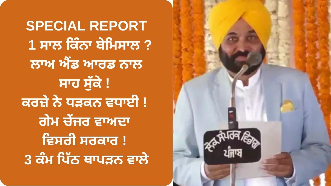 Mann govt one year report card