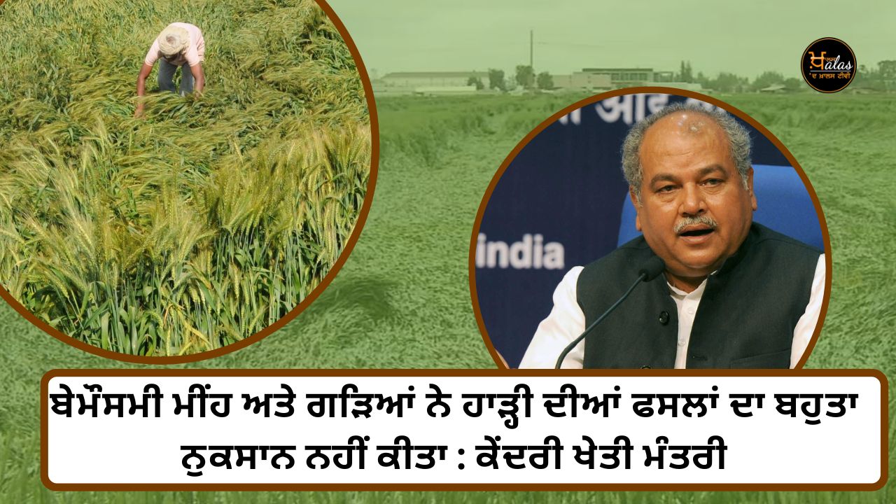 Rabi Crops, Untimely Rains, Agriculture Minister Tomar,