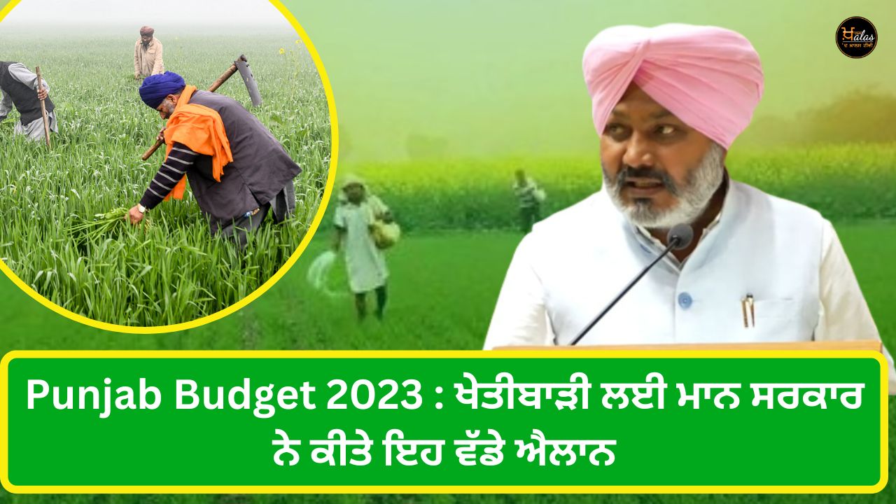 Punjab Budget 2023 Live Updates, Punjab Finance Minister Harpal Singh Cheema agriculture sector, Punjab news