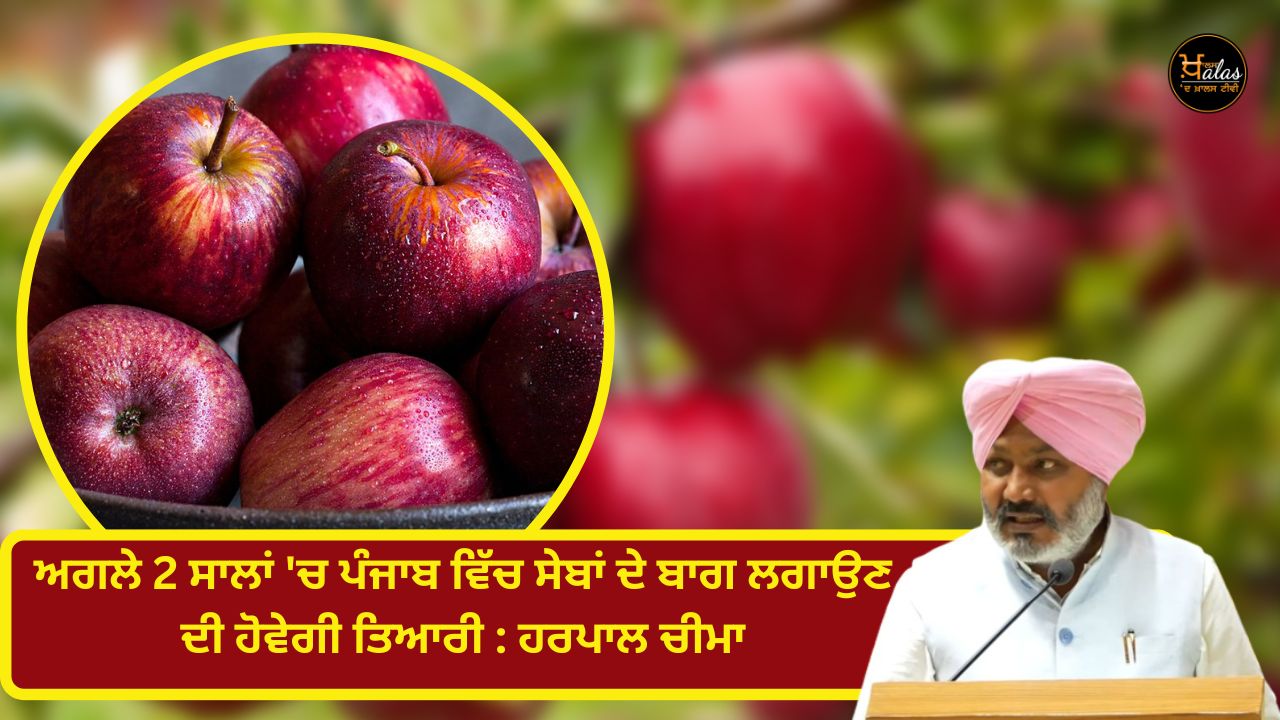 In the next 2 years preparations will be made to plant apple orchards in Punjab: Harpal Cheema