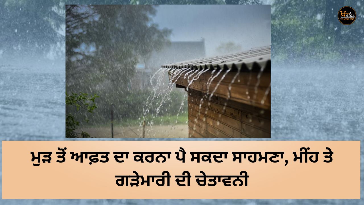 Weather Forecast Updates, Rain alert, Punjab news, agricultural