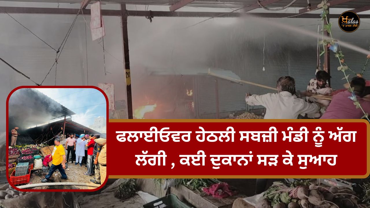 The vegetable market under the flyover caught fire many shops were burnt to ashes