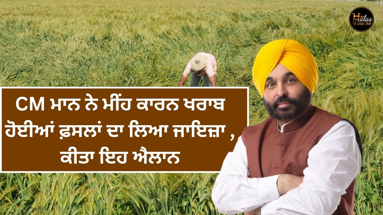 CM Mann took stock of the damaged crops due to rain and announced this