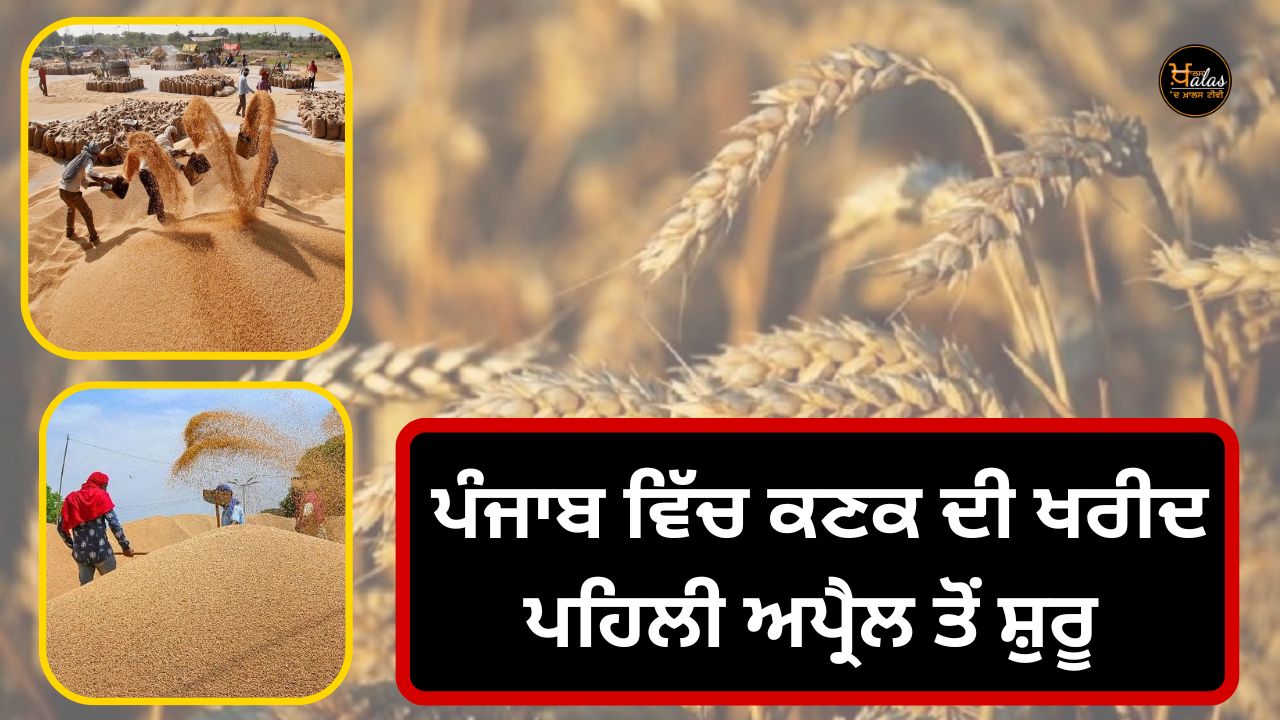 Purchase of wheat in Punjab from the first