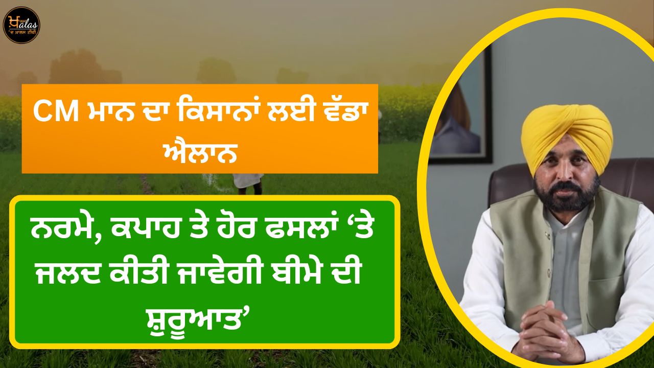 CM Mann's big announcement for farmers, insurance will be started soon on soft, cotton and other crops.