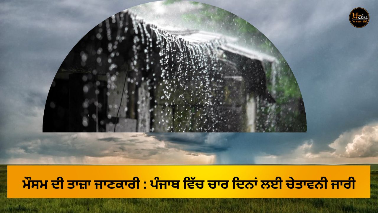 rain alert in Punjab, weather forecast, punjab news, weather
