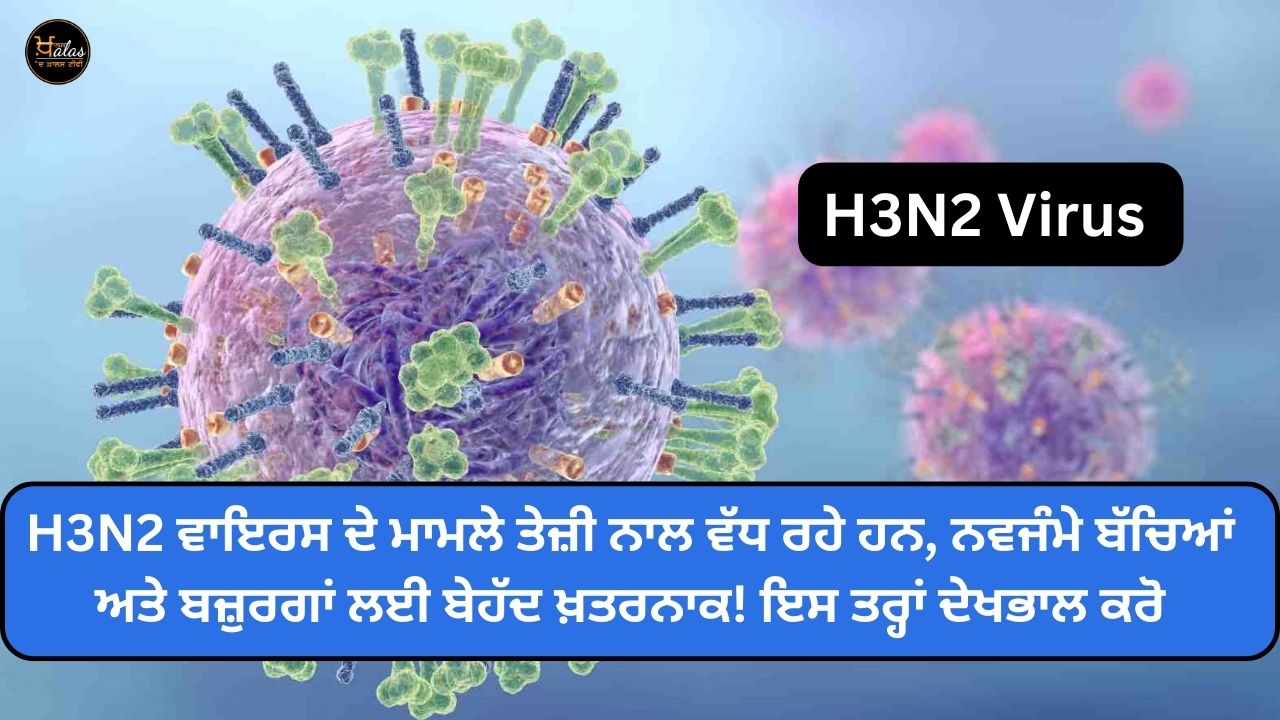 H3N2 virus cases are increasing rapidly extremely dangerous for newborns and the elderly! Take care like this