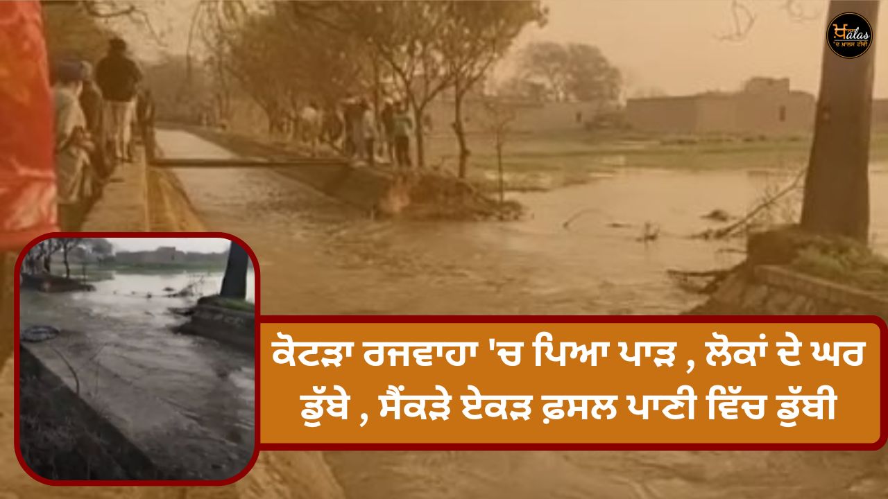 There is a gap in Kotra Rajwaha, people's houses are submerged, hundreds of acres of crops are submerged in water.