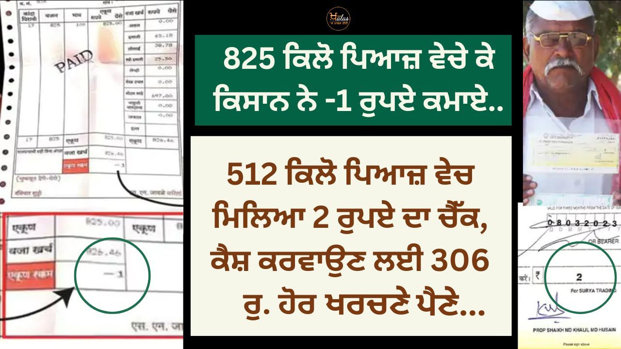 agricultural news, onion price, onion farmer, ਖੇਤੀਬਾੜੀ ਖ਼ਬਰਾਂ, ਵਿਆਜ ਦੀ ਖੇਤੀ, ਪੰਜਾਬੀ ਖ਼ਬਰਾਂ, ਪਿਆਜ ਦਾ ਉਤਪਾਦਨ, ਐਗਰੀਕਲਚਰ