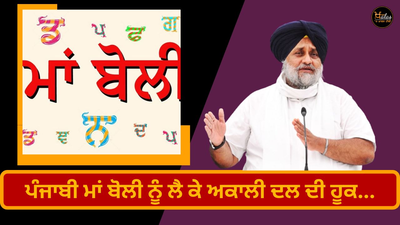 Akali Dal's voice over Punjabi mother tongue