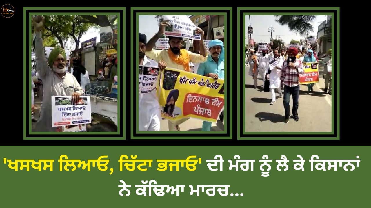 poppy cultivation , agricultural, afeem, opium , punjab, ਖਸਖਸ ਦੀ ਖੇਤੀ, ਅਫੀਮ ਦੀ ਖੇਤੀ, ਪੰਜਾਬ, ਖੇਤੀਬਾੜੀ , ਖਸਖਸ, ਅਫੀਮ ਦੀ ਖੇਤੀ, ਇਨਸਾਫ ਟੀਮ, ਅਫੀਮ, ਤਲਵੰਡੀ ਸਾਬੋ, Baisakhi