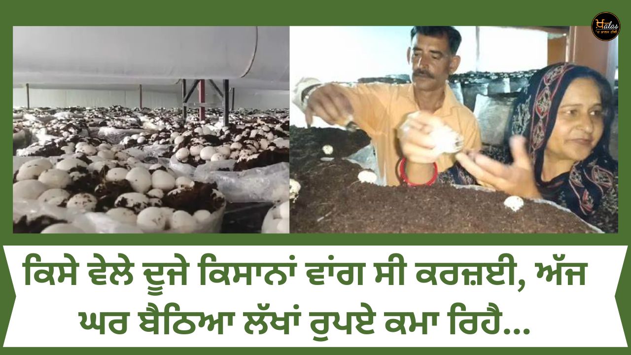 Indian Entrepreneur, Success Story, Mushroom Farmer, Pathankot , ਮਸ਼ਰੂਮ ਦੀ ਖੇਤੀ, ਪੰਜਾਬ ਸਰਕਾਰ, ਸਫਲ ਕਿਸਾਨ, ਪਠਾਨਕੋਟ ਨਿਊਜ਼, ਕਰਜ਼ਾ, ਕਿਸਾਨਾਂ ਸਿਰ ਕਰਜ਼ਾ, ਖੇਤੀਬਾੜੀ ਖ਼ਬਰਾਂ