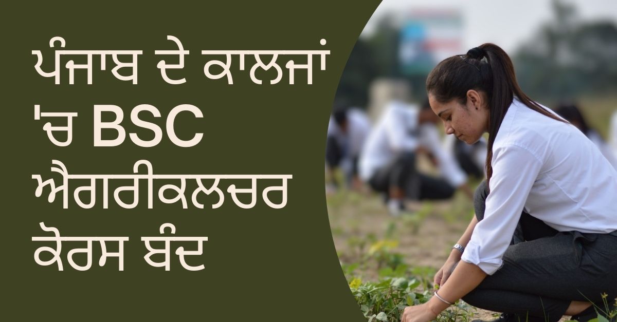 BSC Agriculture Course, Colleges ,Punjab, students, study