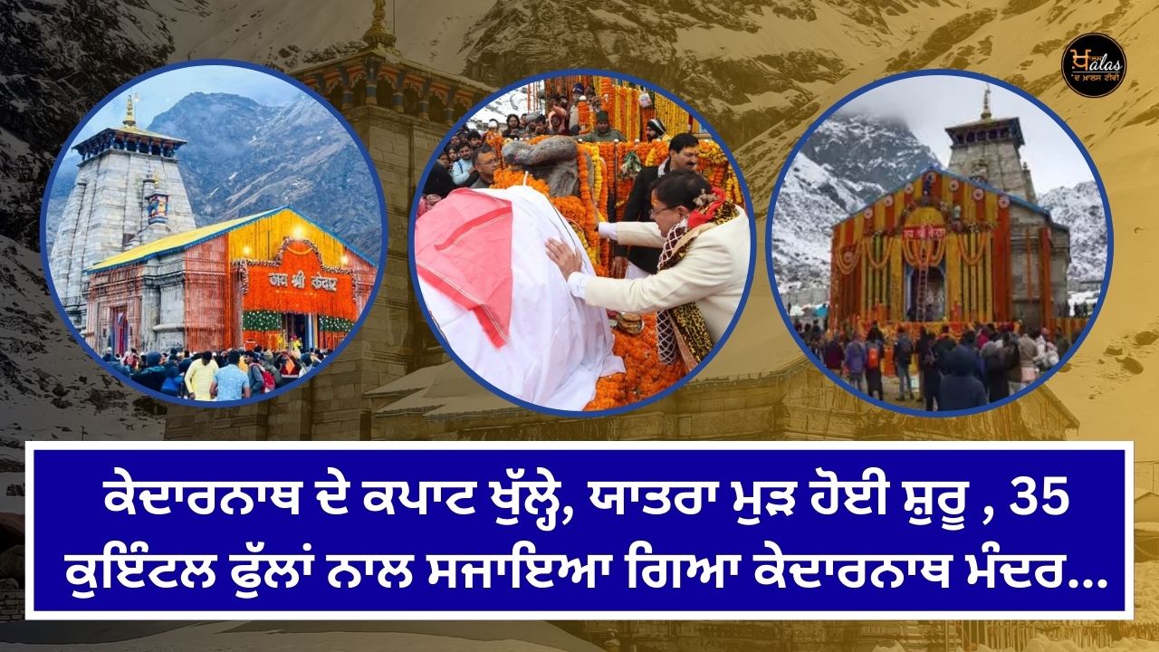 The doors of Kedarnath opened, the journey resumed, Kedarnath temple decorated with 35 quintals of flowers...