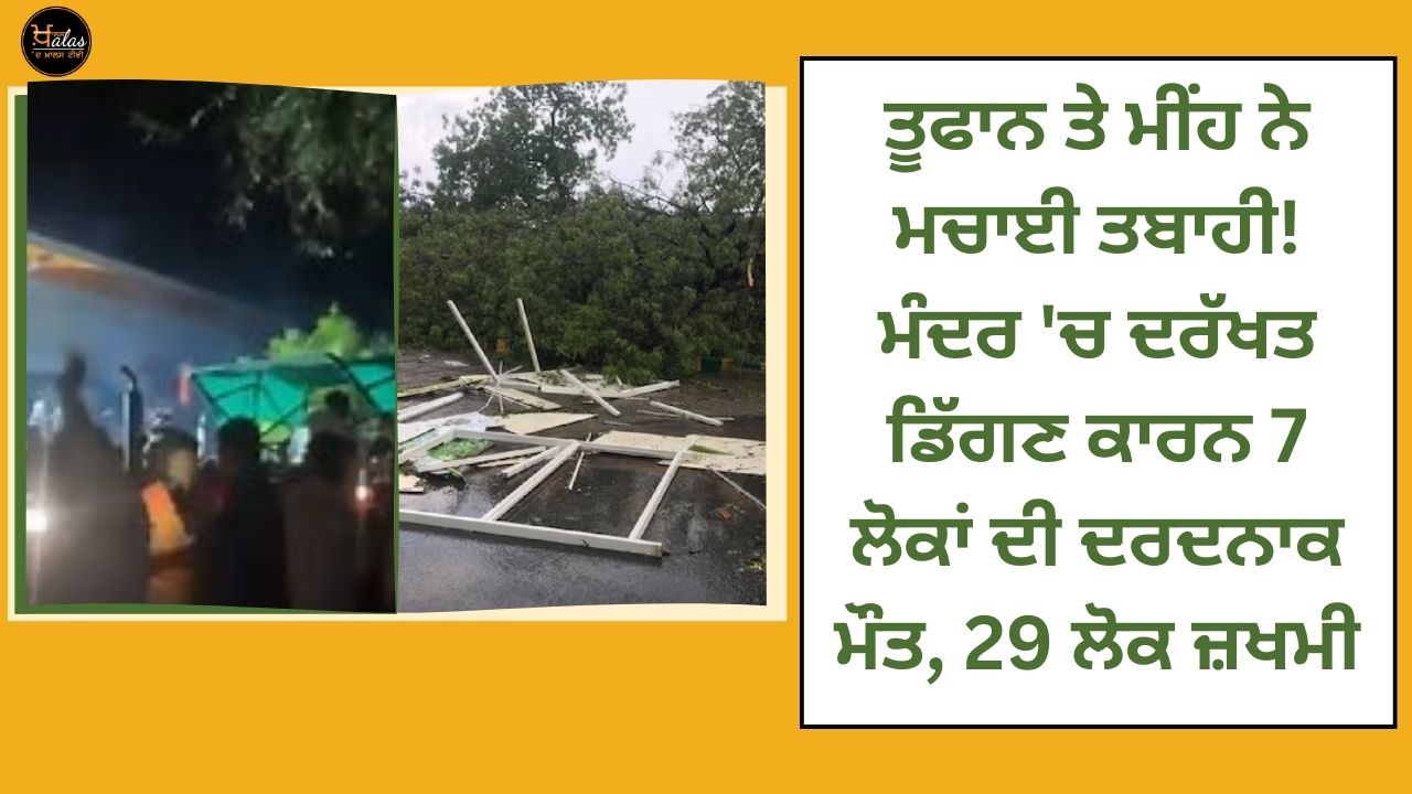 Storm and rain caused destruction! 7 people died painfully 29 people were injured due to falling tree in the temple