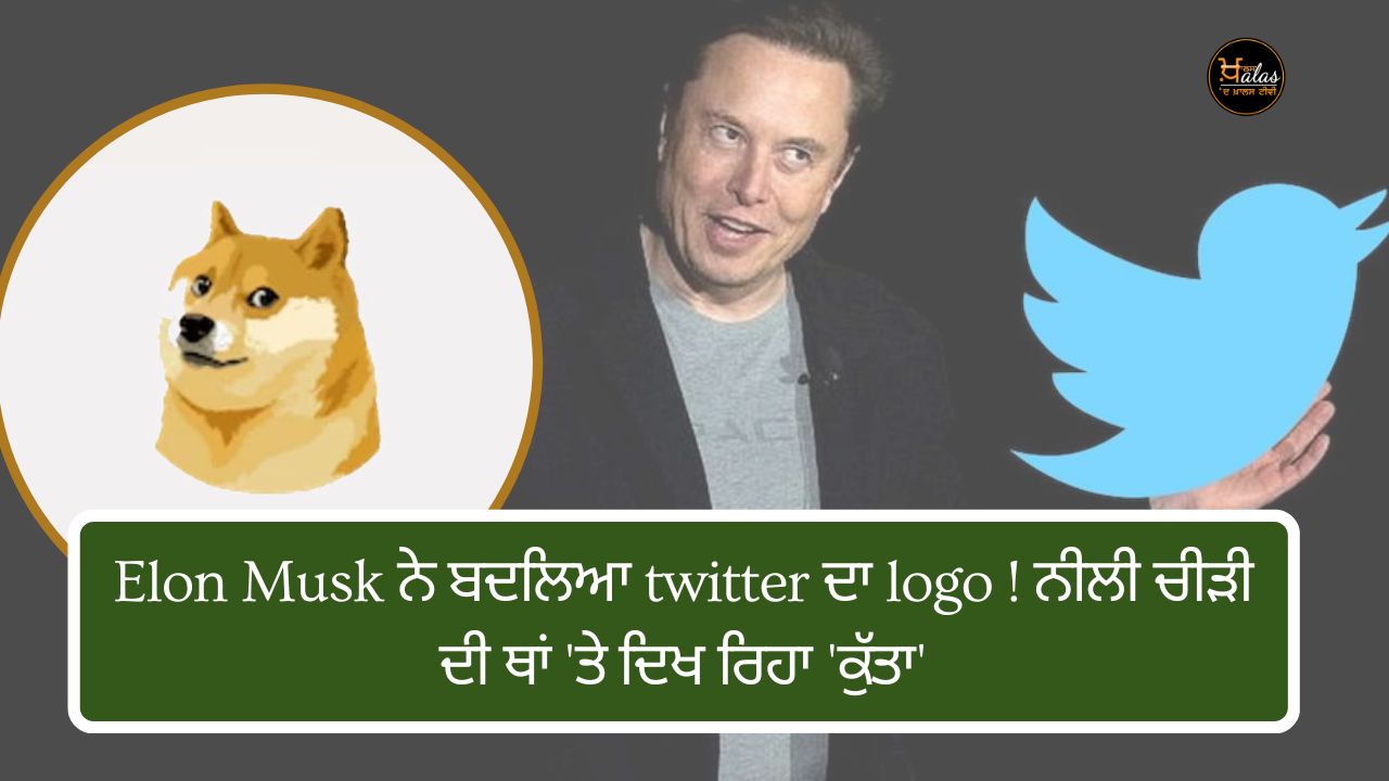 Elon Musk changed the logo of Twitter! A 'dog' appearing in place of the blue chin