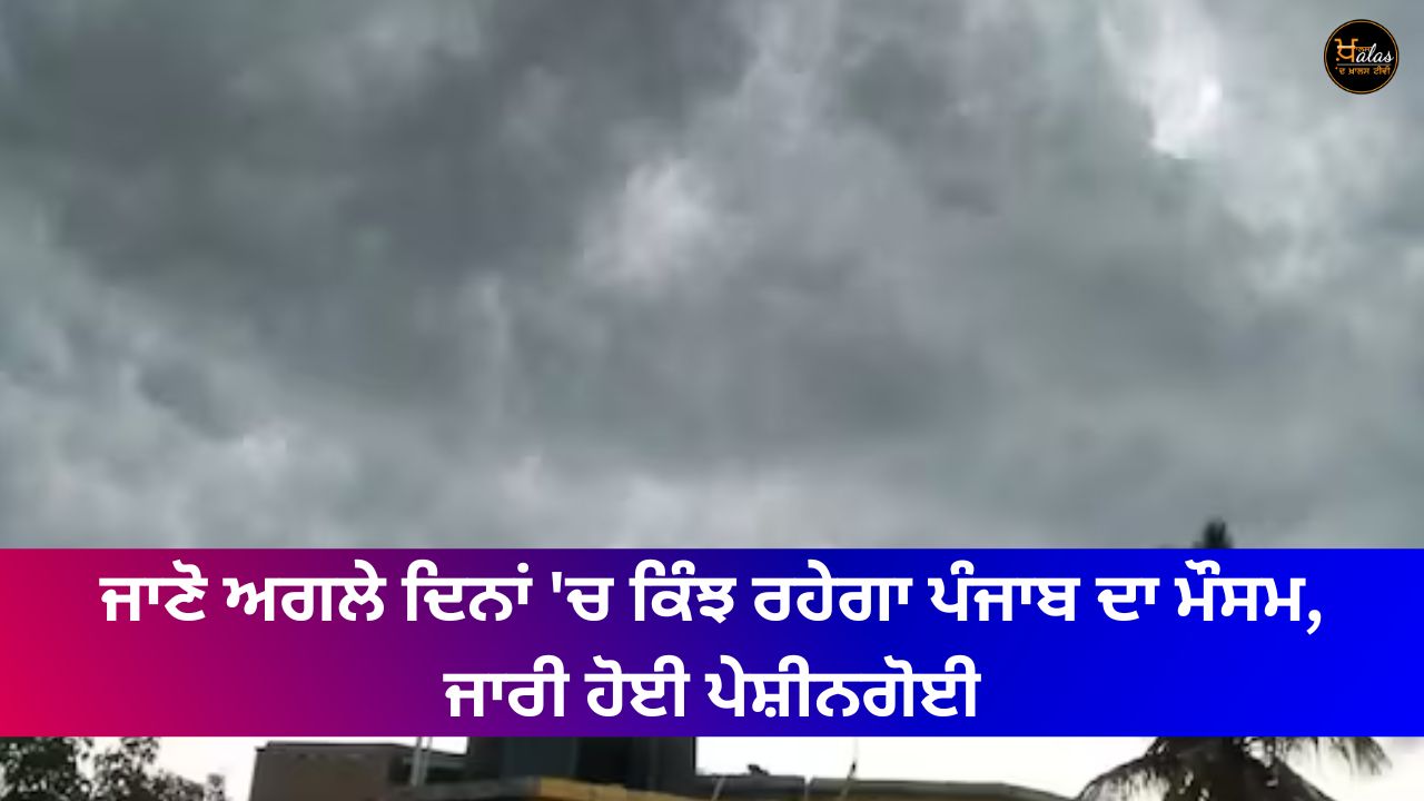 rain alert in Punjab, weather forecast, Punjab news, weather