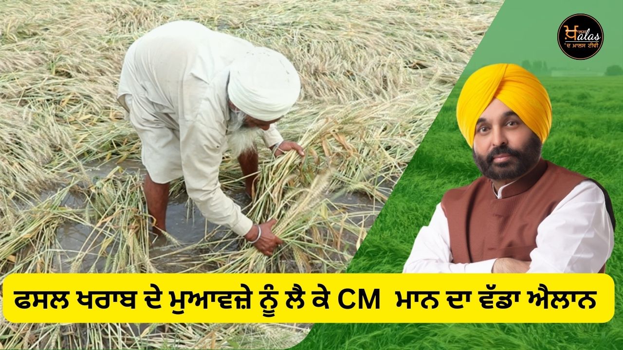 CM Mann's big announcement regarding crop damage compensation