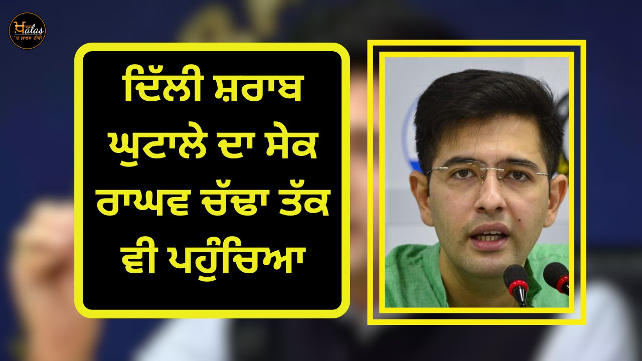 Delhi Liquor Scam: Raghav Chadha also named in the chargesheet filed by ED