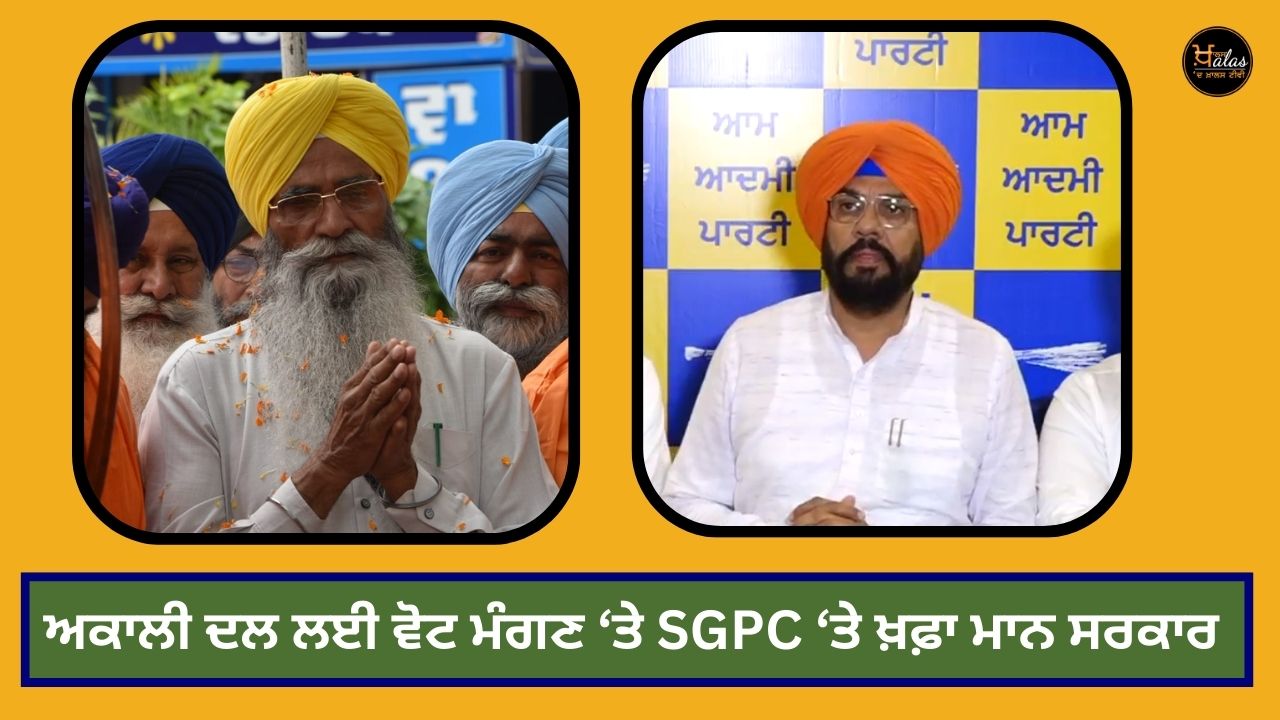 Akali Dal , SGPC , Punjab Government