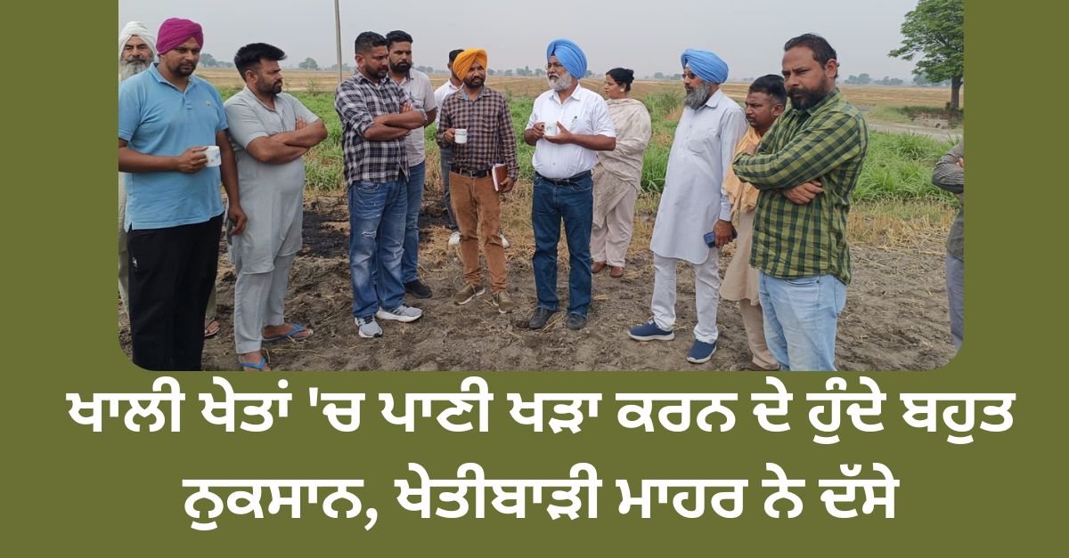 Agriculture department, farmers, water, empty fields, punjab