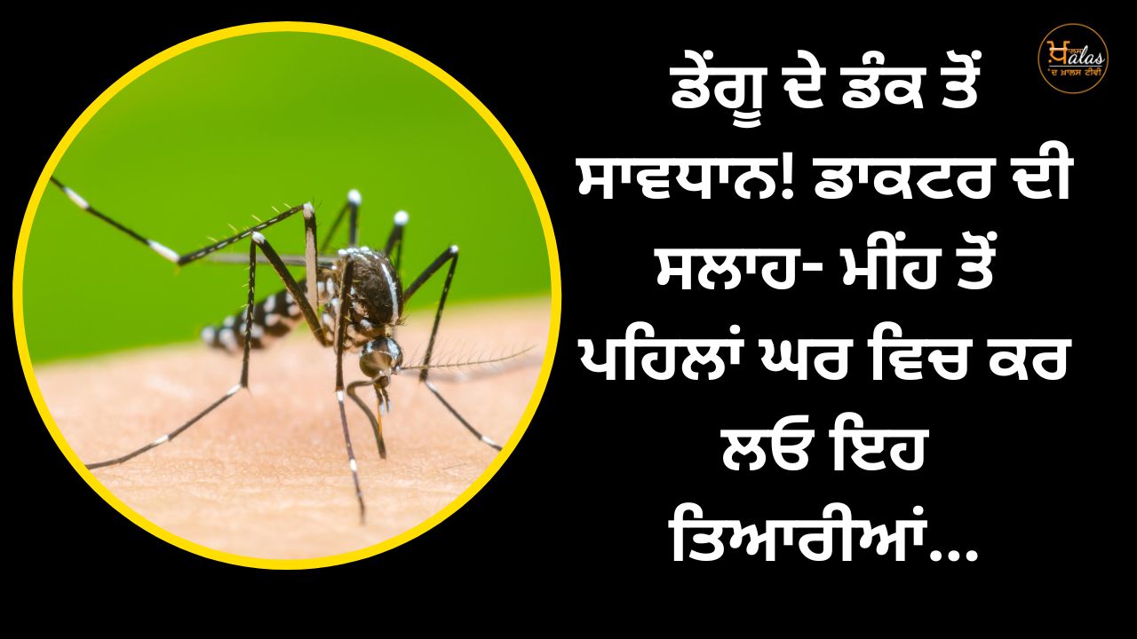Beware of dengue sting! Doctor's advice- prepare at home before rain