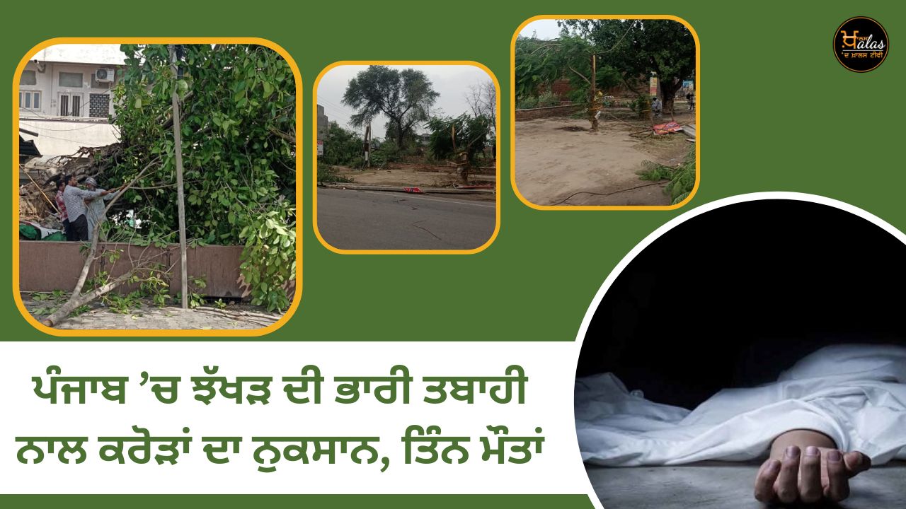 Due to the heavy destruction of Jhakhar in Punjab loss of crores