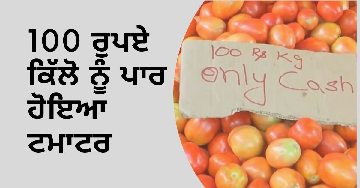 Tomato Price hike, Tomato news, Tomato Price, Tomato Rate