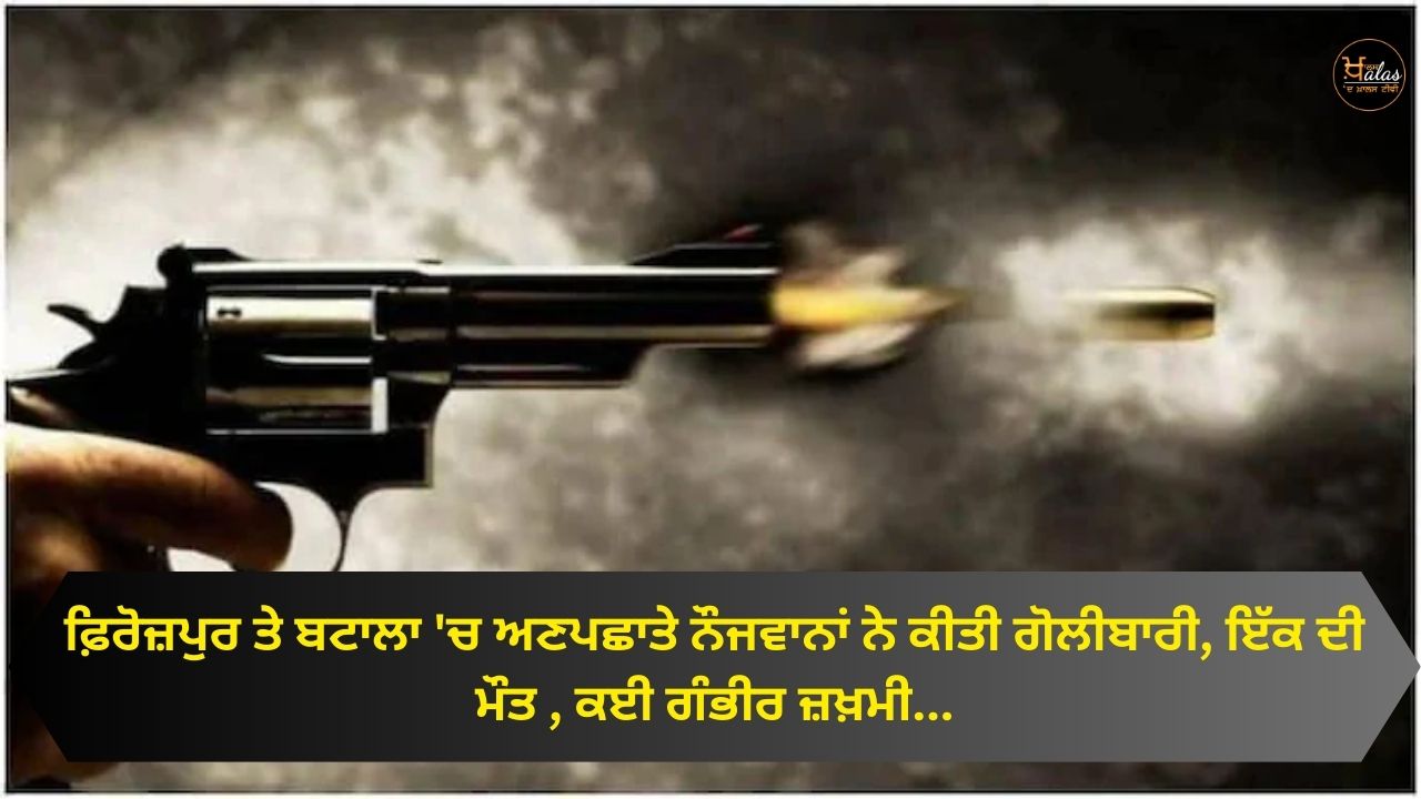 Unidentified youths opened fire in Ferozepur and Batala, one died, many were seriously injured...